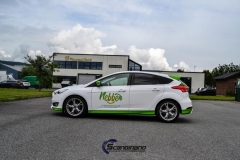 Ford-focus-foliering-dekor-2