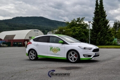 Ford-focus-foliering-dekor-4
