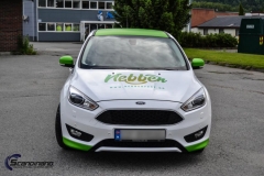 Ford-focus-foliering-dekor-5