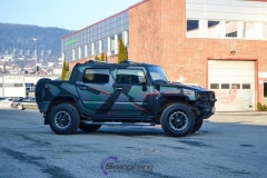 Galleryhummer camo-4