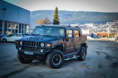Galleryhummer camo