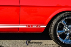 Mustang-GT-350C-med-racing-striper-6-of-7