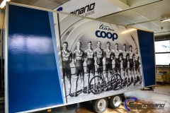 coop decor-3