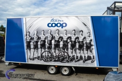 coop decor-4