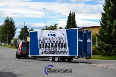 coop decor-7